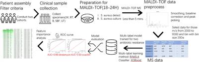 Rapid Antibiotic Resistance Serial Prediction in Staphylococcus aureus Based on Large-Scale MALDI-TOF Data by Applying XGBoost in Multi-Label Learning